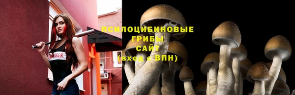МДПВ Армянск